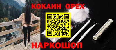 дурь Славгород
