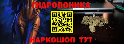 дурь Славгород