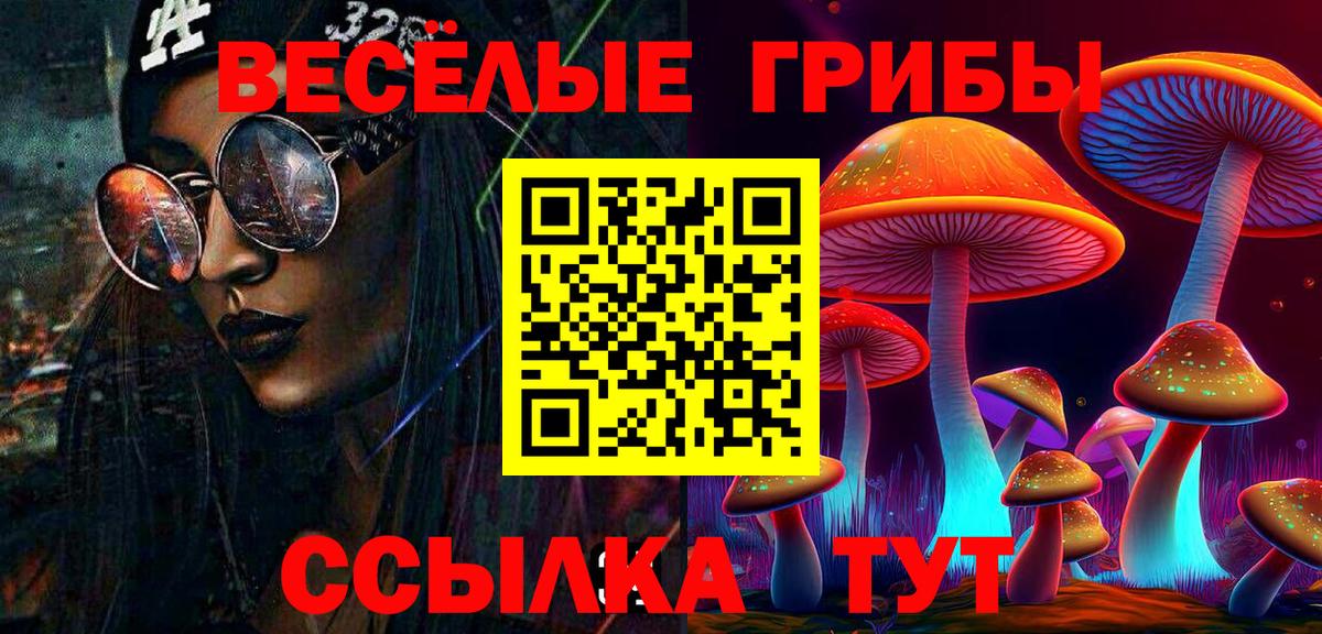 Галлюциногенные грибы Psilocybe Фролово